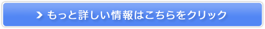 mRA i`xr[WF[V̔TCg